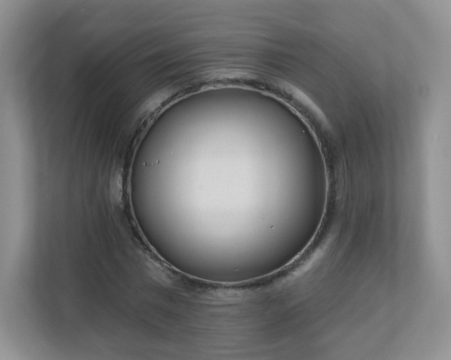 X0000110920777200906251417