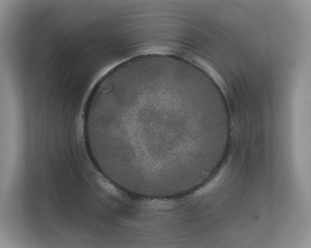 X0000110920779200906251417