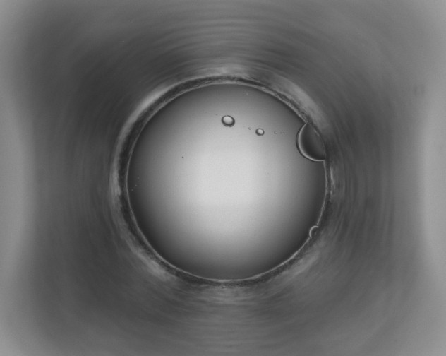 X0000110920780200906251417