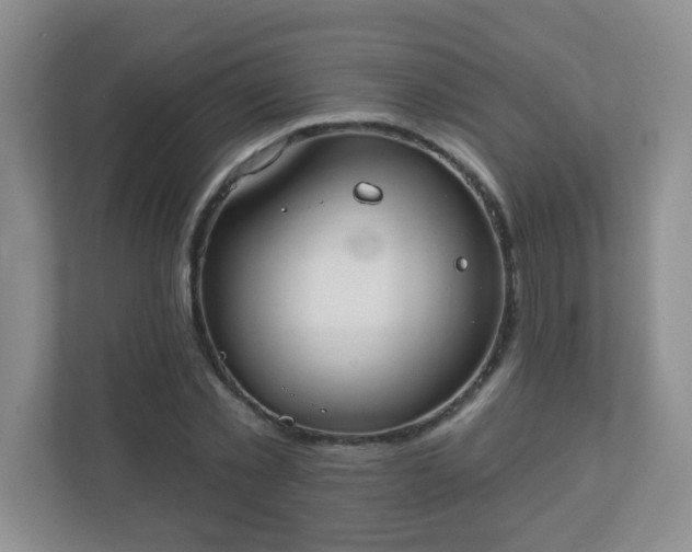 X0000110920781200906251417