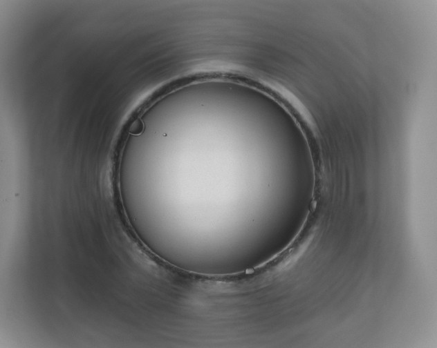 X0000110920783200906251417