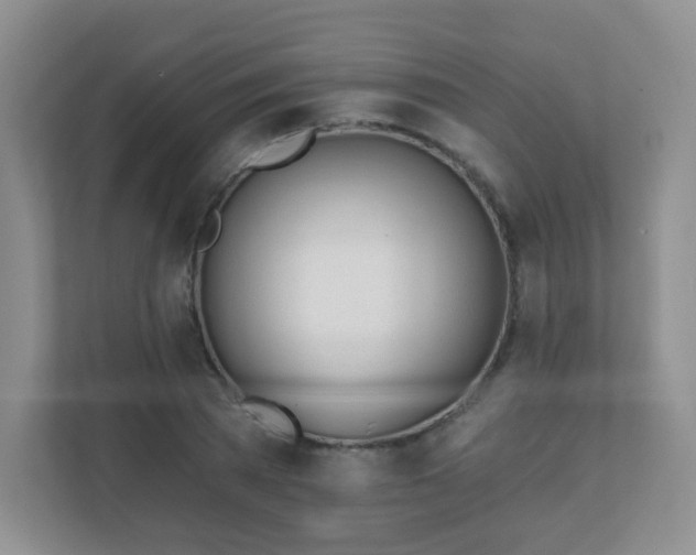 X0000110920785200906251417