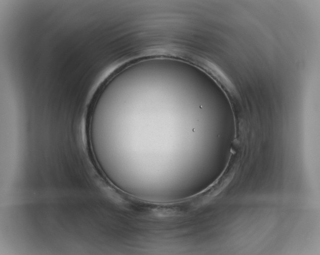 X0000110920788200906251417