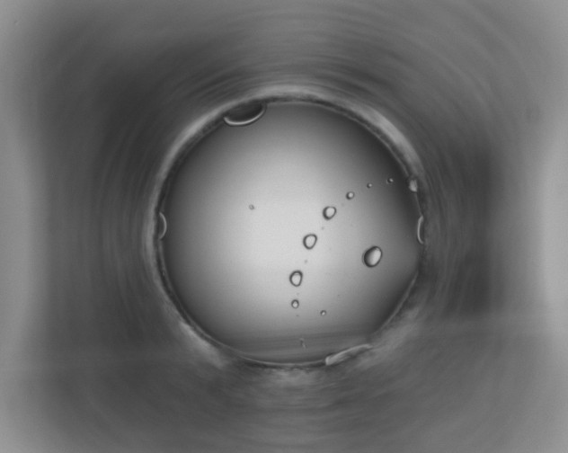 X0000110920799200906251417