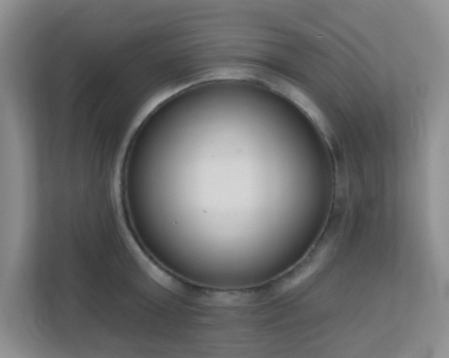 X0000110920803200906251417