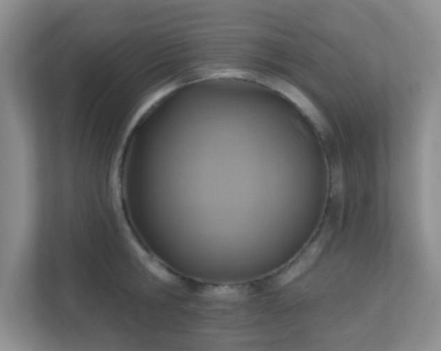 X0000110920806200906251417