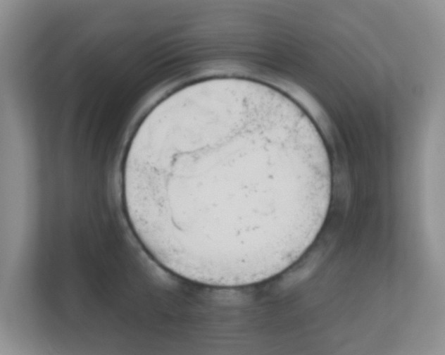 X0000110920807200906251417