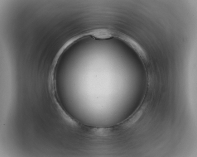 X0000110920808200906251417