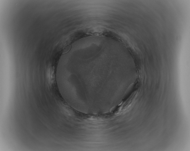 X0000110920818200906251416