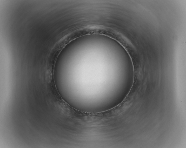 X0000110920821200906251416
