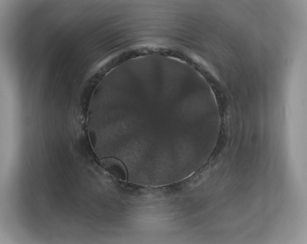 X0000110920822200906251416