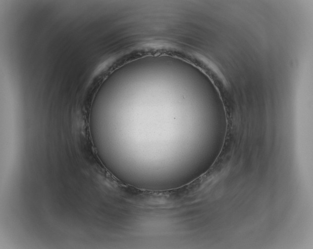 X0000110920823200906251416