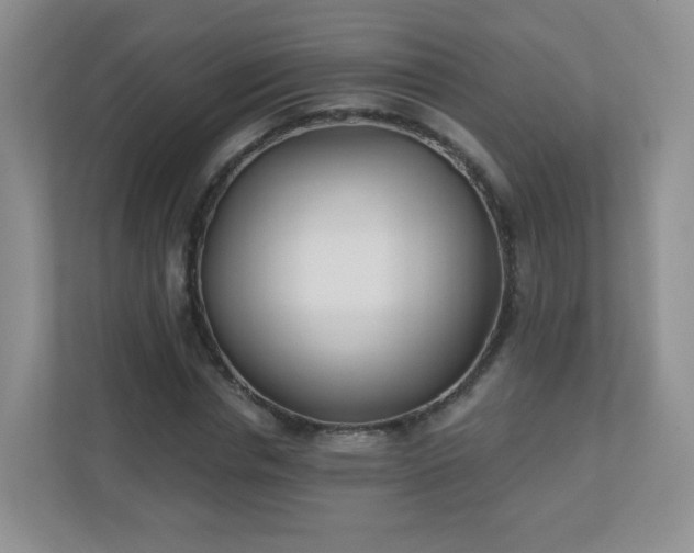 X0000110920826200906251416