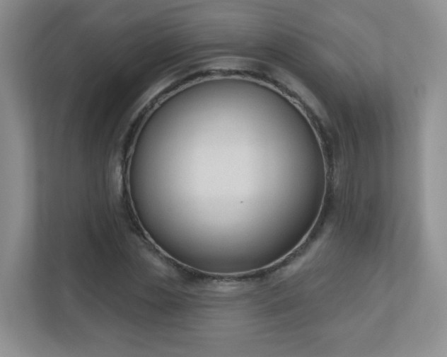 X0000110920829200906251416