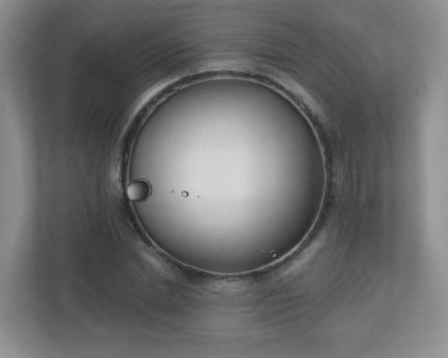 X0000110920830200906251416