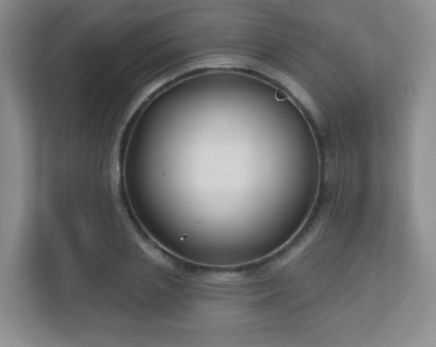 X0000110920837200906251416