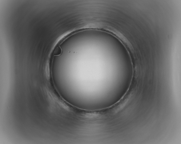 X0000110920838200906251416