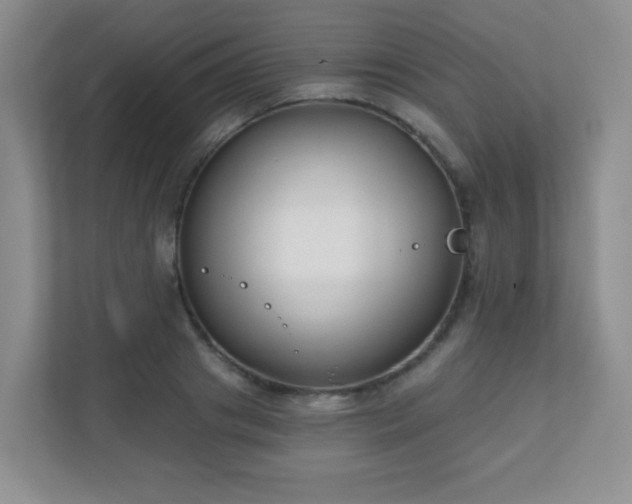 X0000110920841200906251416