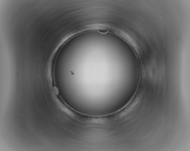X0000110920843200906251416