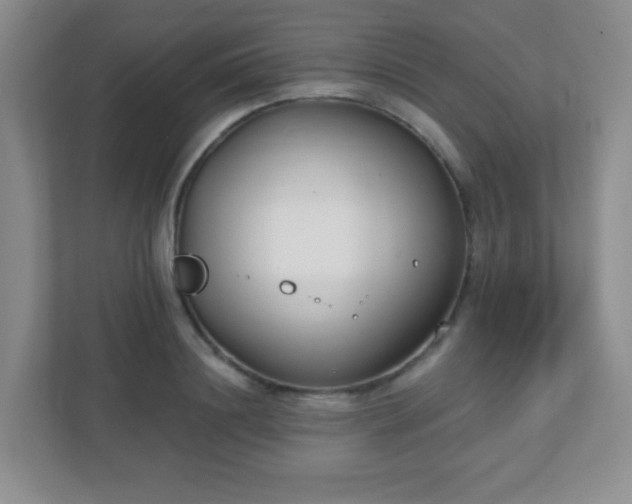 X0000110920844200906251416