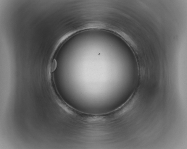 X0000110920846200906251416