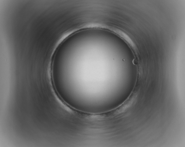 X0000110920847200906251416