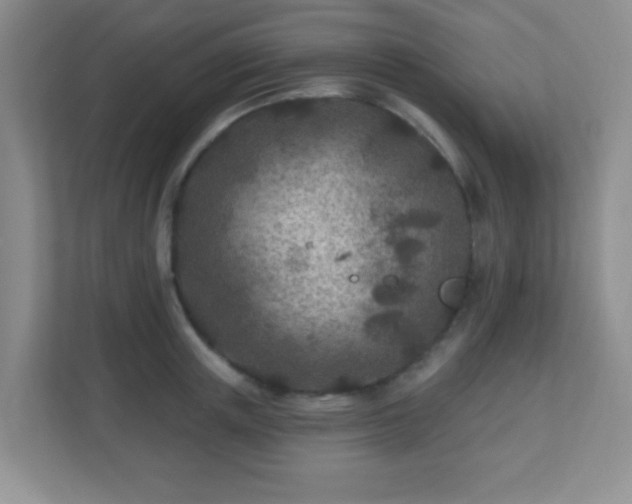 X0000110920851200906251416
