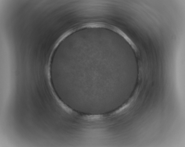 X0000110920853200906251416
