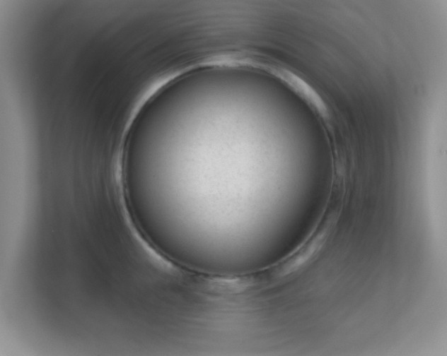 X0000110920855200906251417