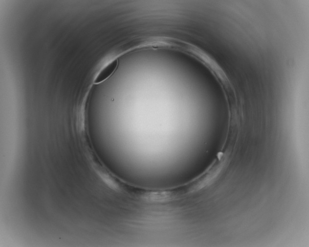 X0000110920858200906251417