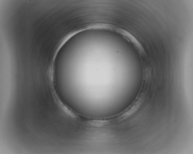 X0000110920860200906251417