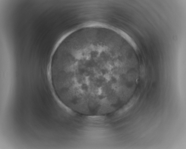 X0000110920863200906251417