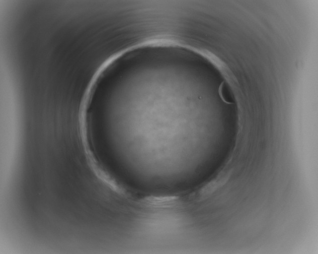 X0000110920864200906251417