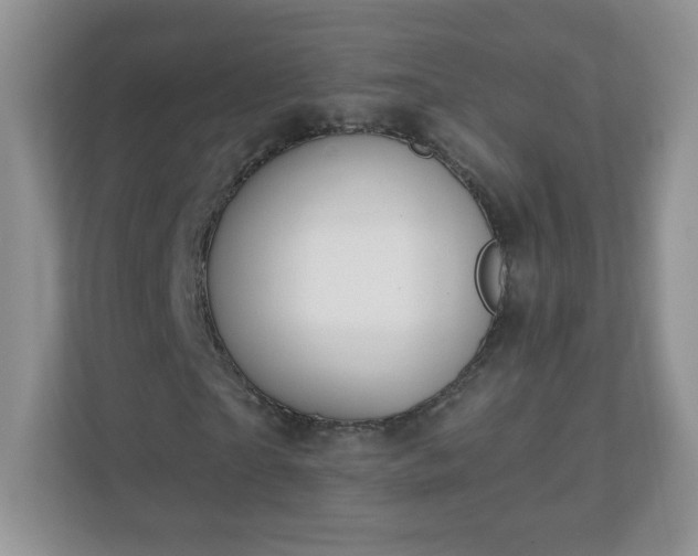 X0000110920865200906251416