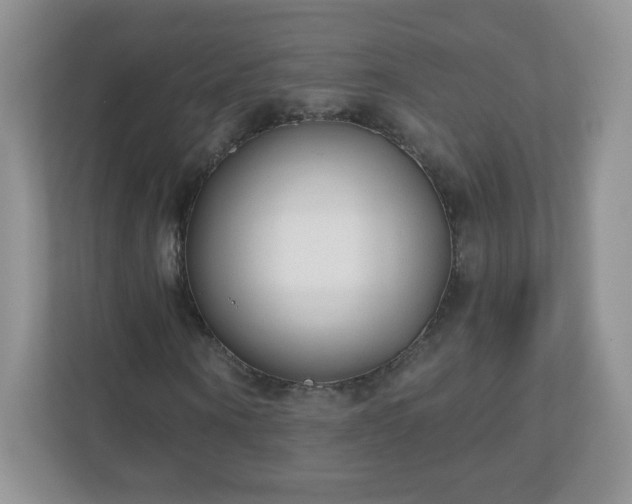 X0000110920866200906251416
