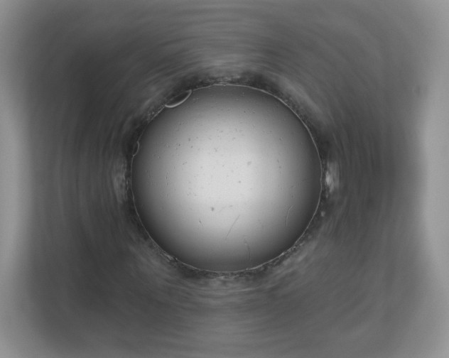 X0000110920867200906251416
