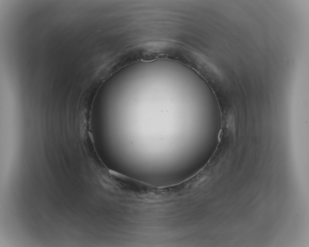 X0000110920868200906251416