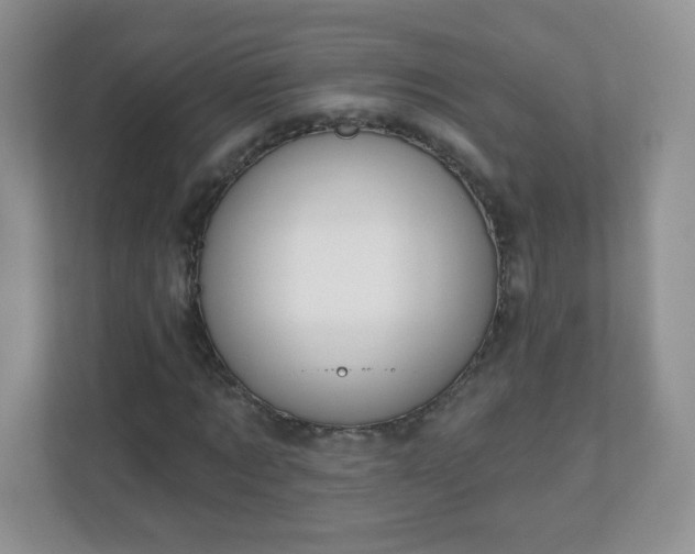 X0000110920869200906251416
