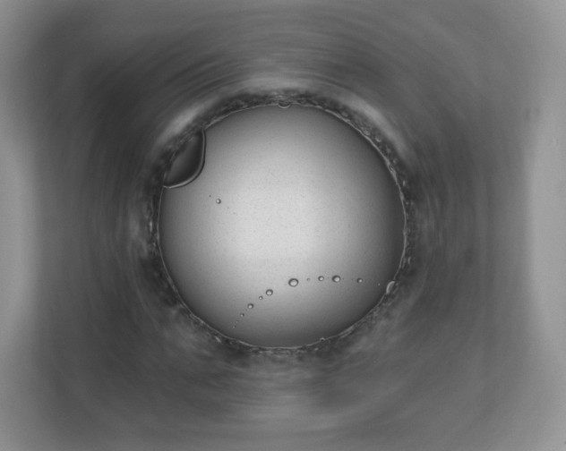 X0000110920871200906251416