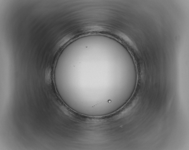 X0000110920873200906251416