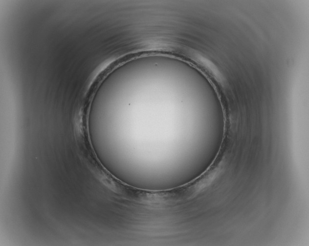 X0000110920875200906251416