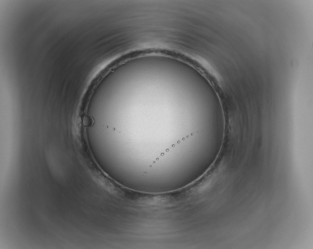 X0000110920879200906251416