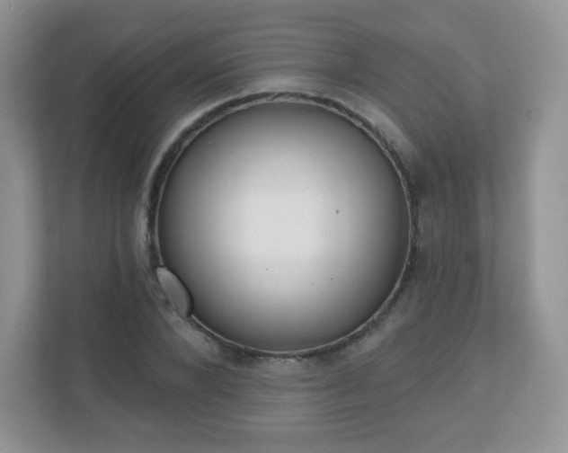 X0000110920880200906251416
