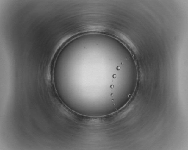 X0000110920883200906251416