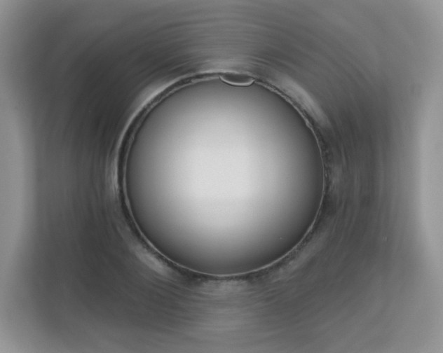 X0000110920884200906251416