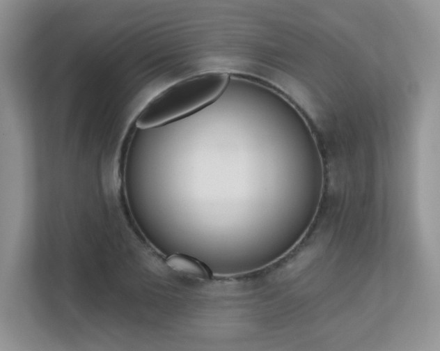 X0000110920885200906251416