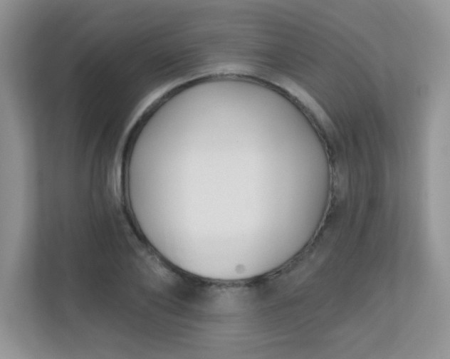 X0000110920886200906251416