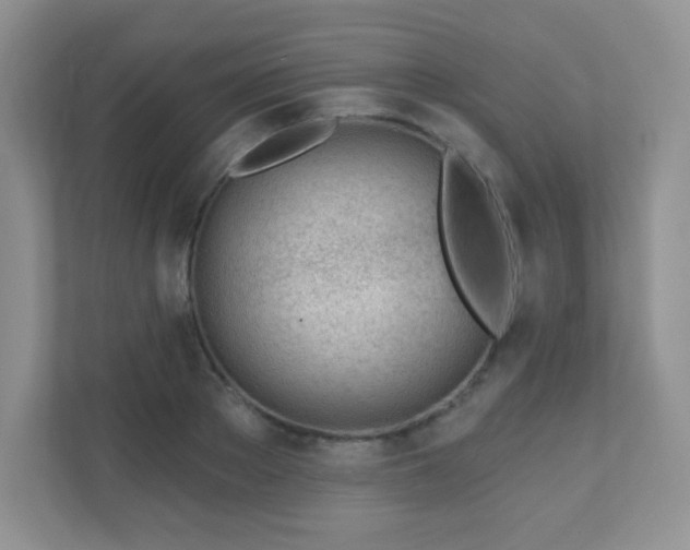 X0000110920889200906251416