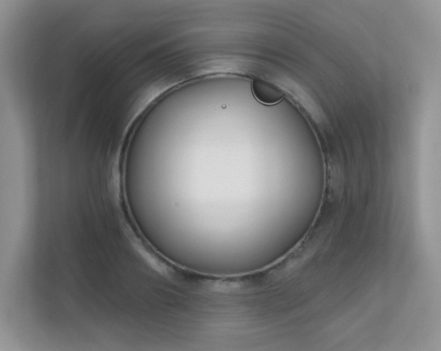 X0000110920890200906251416