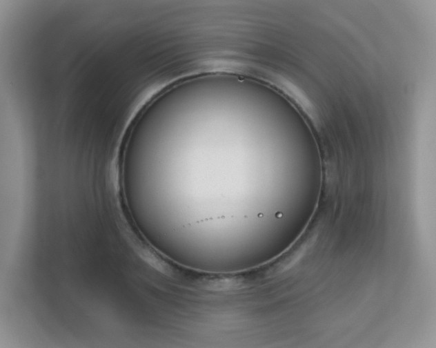 X0000110920891200906251416